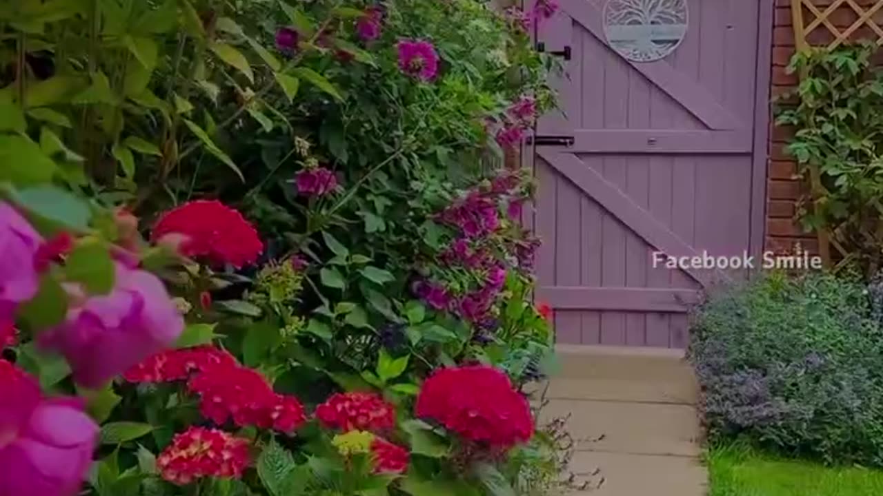 Aslme video