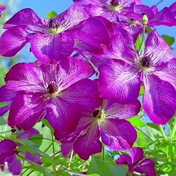 फ्रेम मे रहने से पहेले प्रेम से रहिए | Prem kisey kahete hai | Frame #motivation #shorts #viral