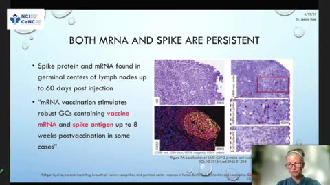 Jessica Rose Explains How Bad the Spike Protein Produced by the Covid Shot is. m