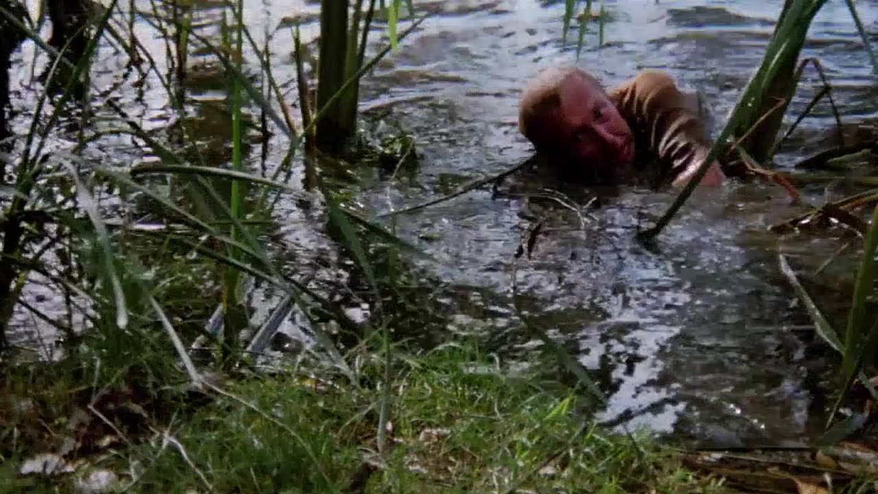 The.Survivor.1981 BluRay film