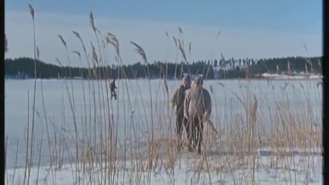 Saltkråkan 1963 d3e2