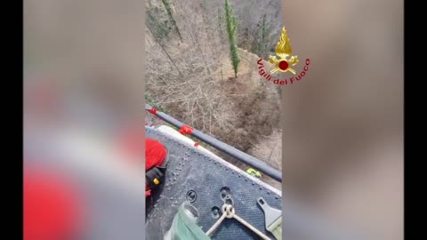 Firefighters rescue a child, his father and their dog