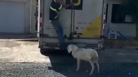 I may be late...