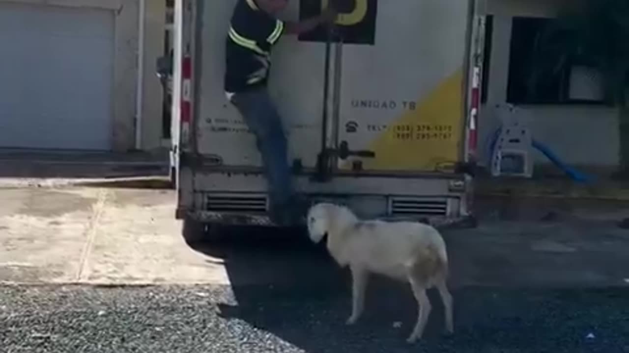 I may be late...
