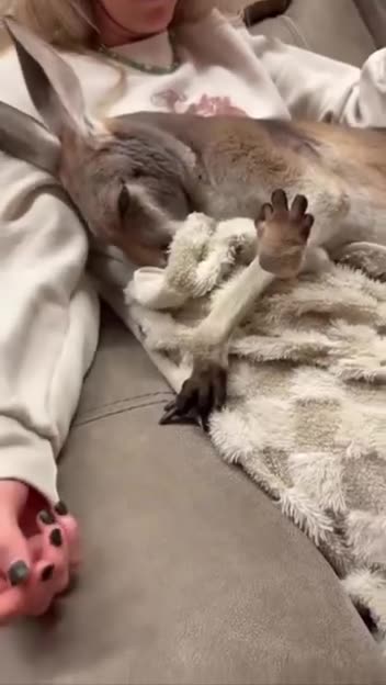 Possessive much are we?