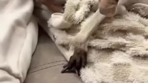 Possessive much are we?