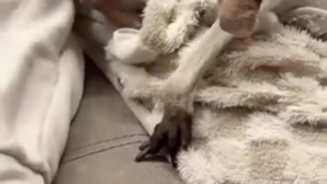 Possessive much are we?