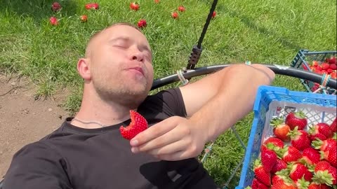 Pure Joy in Strawberry Heaven