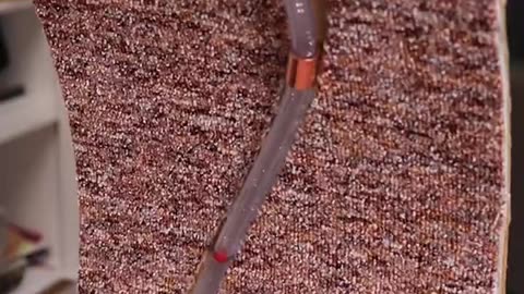 A happy cat is a running cat! 🐈💨 Check out this adorable exercise wheel build.