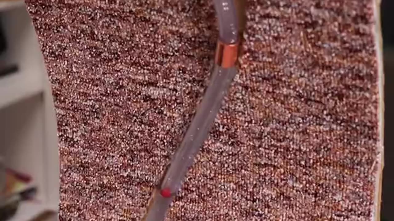 A happy cat is a running cat! 🐈💨 Check out this adorable exercise wheel build.