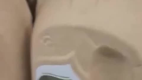 A perfect illustration of the lunacy of the "green" agenda.