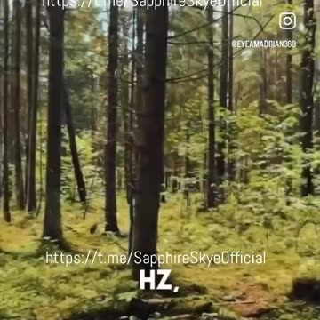 “Trees emit a frequency of 200Hz that grounds & stabilizes you,