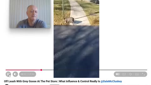 The Anti Dog Trainer - Control and Influence takes a Walk - Pt 5