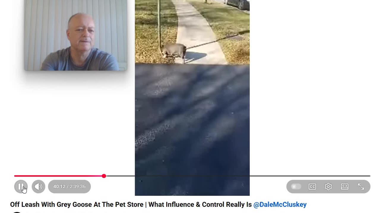 The Anti Dog Trainer - Control and Influence takes a Walk - Pt 5