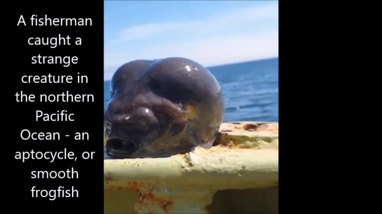 Regard sur la caméra... Pourquoi cette caméra de sécurité fait ça à 4h20 du matin et perd du temps