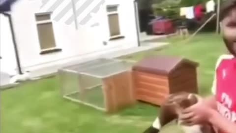 🐾🤣 How NOT to Handle Animals! | FunFM