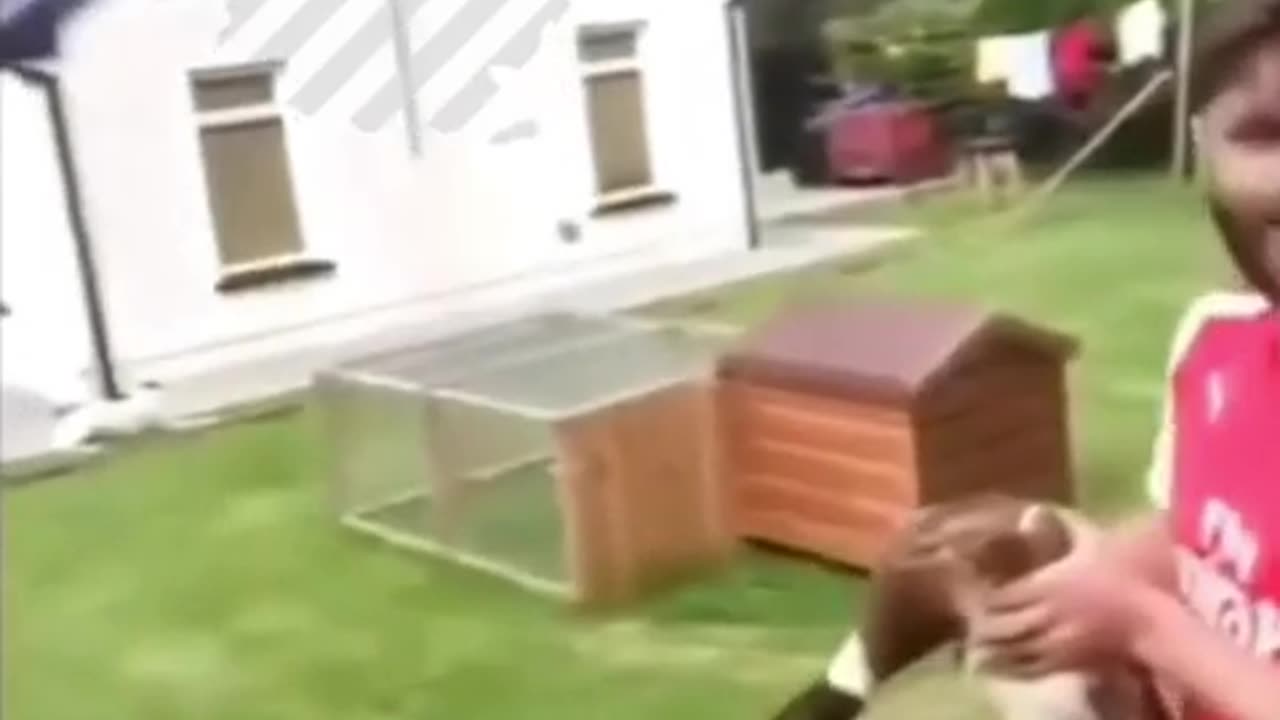 🐾🤣 How NOT to Handle Animals! | FunFM