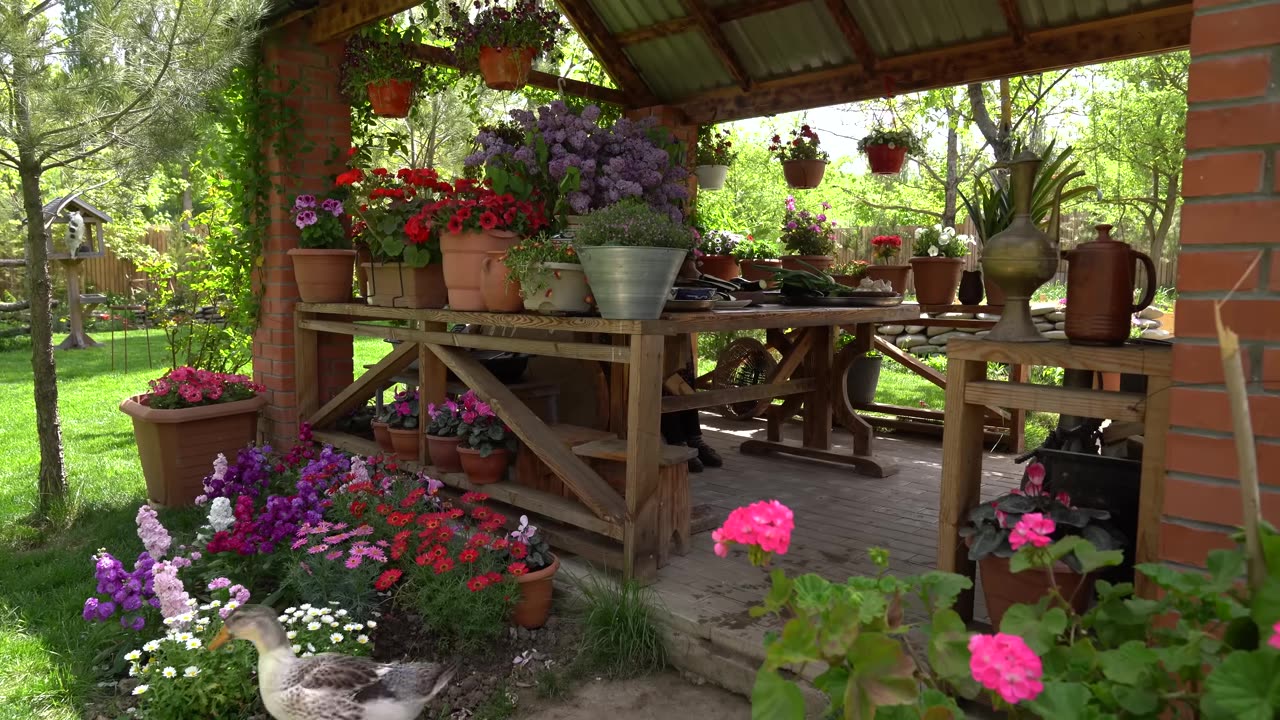 Fresh Spring Lilacs Picking- How to Preserve the Scent of Spring