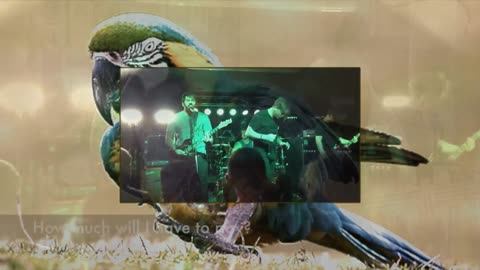 W. A. T. G. ~ The Bird and the Snake { Live + Lyrics + Covers } Remix 1 Christcore