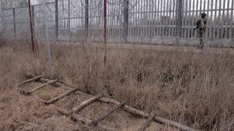 Polish PM inspects new fortifications on border with Belarus