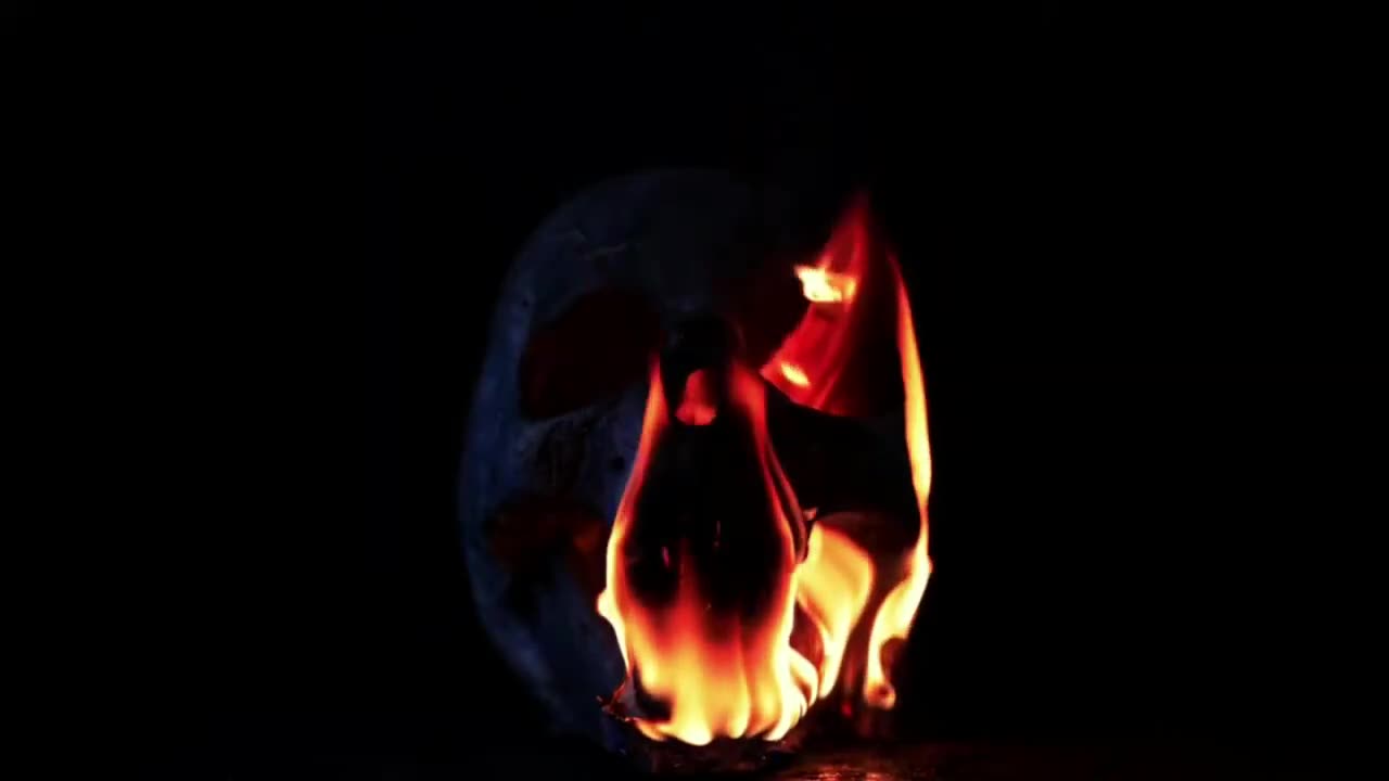 MY NEW SONG