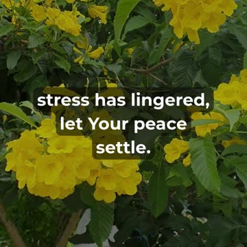 Let Go of Anxiety This Friday 🙏 #peaceofmind #prayer #faith