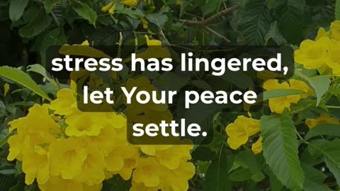 Let Go of Anxiety This Friday 🙏 #peaceofmind #prayer #faith