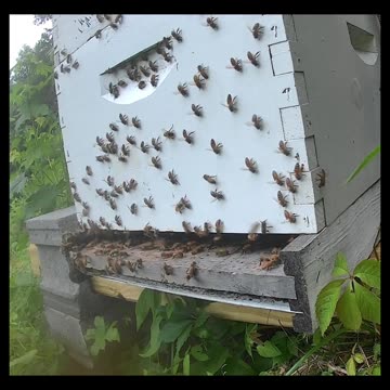 Monday Evening Sunset