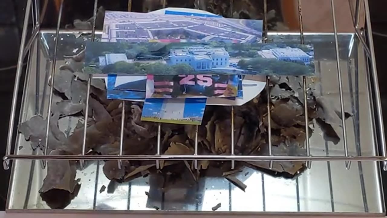 Tim Rifat TikTok Videos