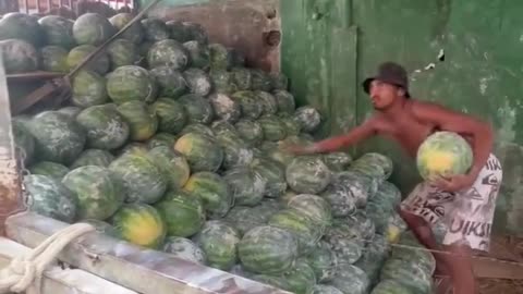 Watermelon Delivery Like a Pro! 💨💪#WatermelonBoss 🍉 #HustleHard 💪 #DailyGrind🔁#FruitLife🍈#FastHands⚡