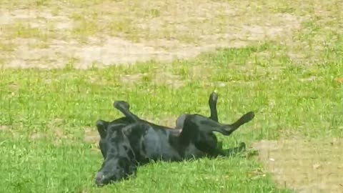 Riley Rolling