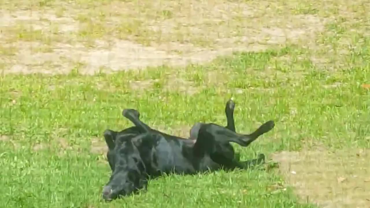 Riley Rolling