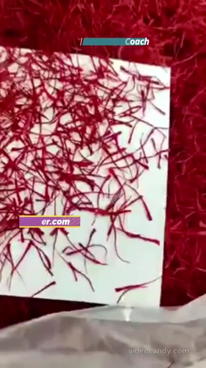 Winter Magic of Saffron ❄️✨