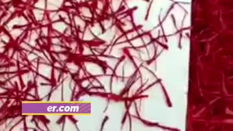 Winter Magic of Saffron ❄️✨