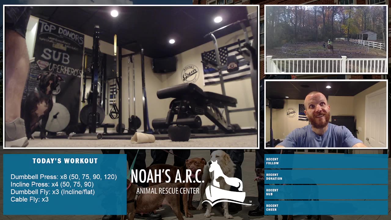 Gym Session w/Remy Pup [Week 13] - Chest & Back // Animal Rescue Stream :)