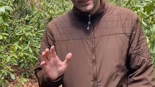 WALK IN RHODODENDRON!