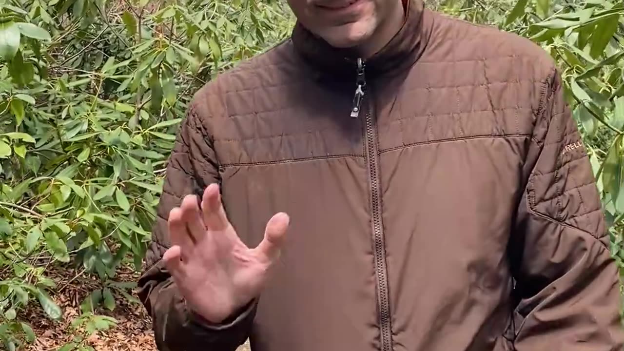 WALK IN RHODODENDRON!