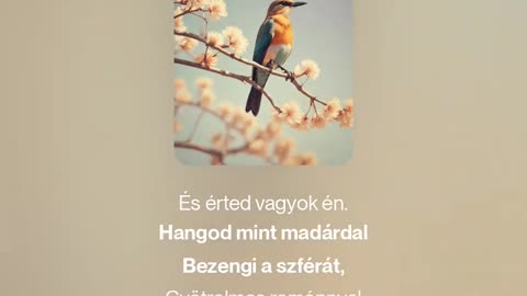 Songbird (2) (megzenésített vers)