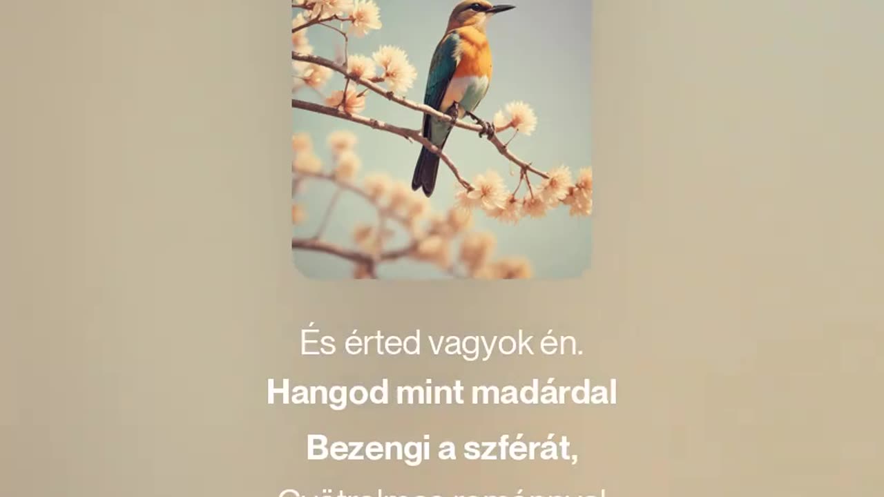 Songbird (2) (megzenésített vers)