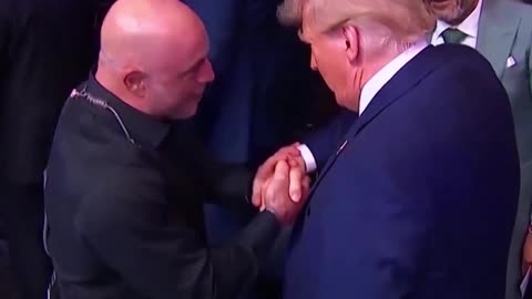 LET'S RUN IT BACK, JOE!!!🥳🥳🥳