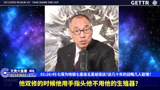 （28|61）七哥为啥搞七星级五星级饭店这几十年的战略几人能懂【2022年02月13日文貴大直播精选】