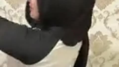 JILBAB GOYANG BOKONG🤤🤤🤤🤤