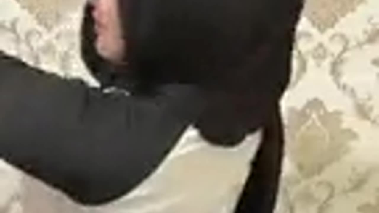 JILBAB GOYANG BOKONG🤤🤤🤤🤤