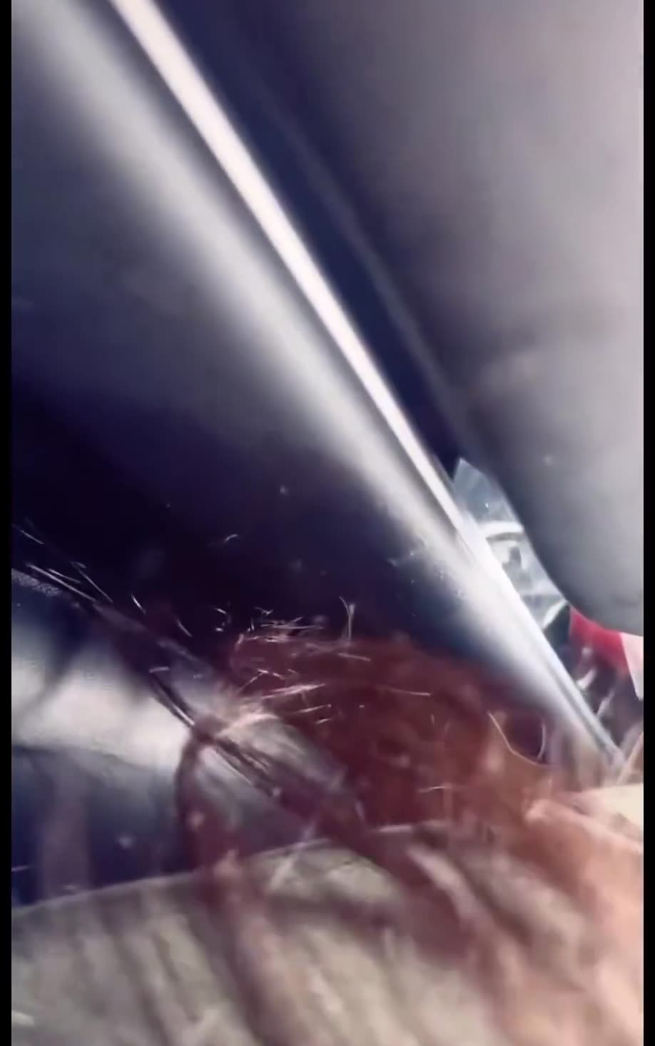 Pro-Illegal Alien TikTok Influencer Pulled Out of Car After Resisting Arrest