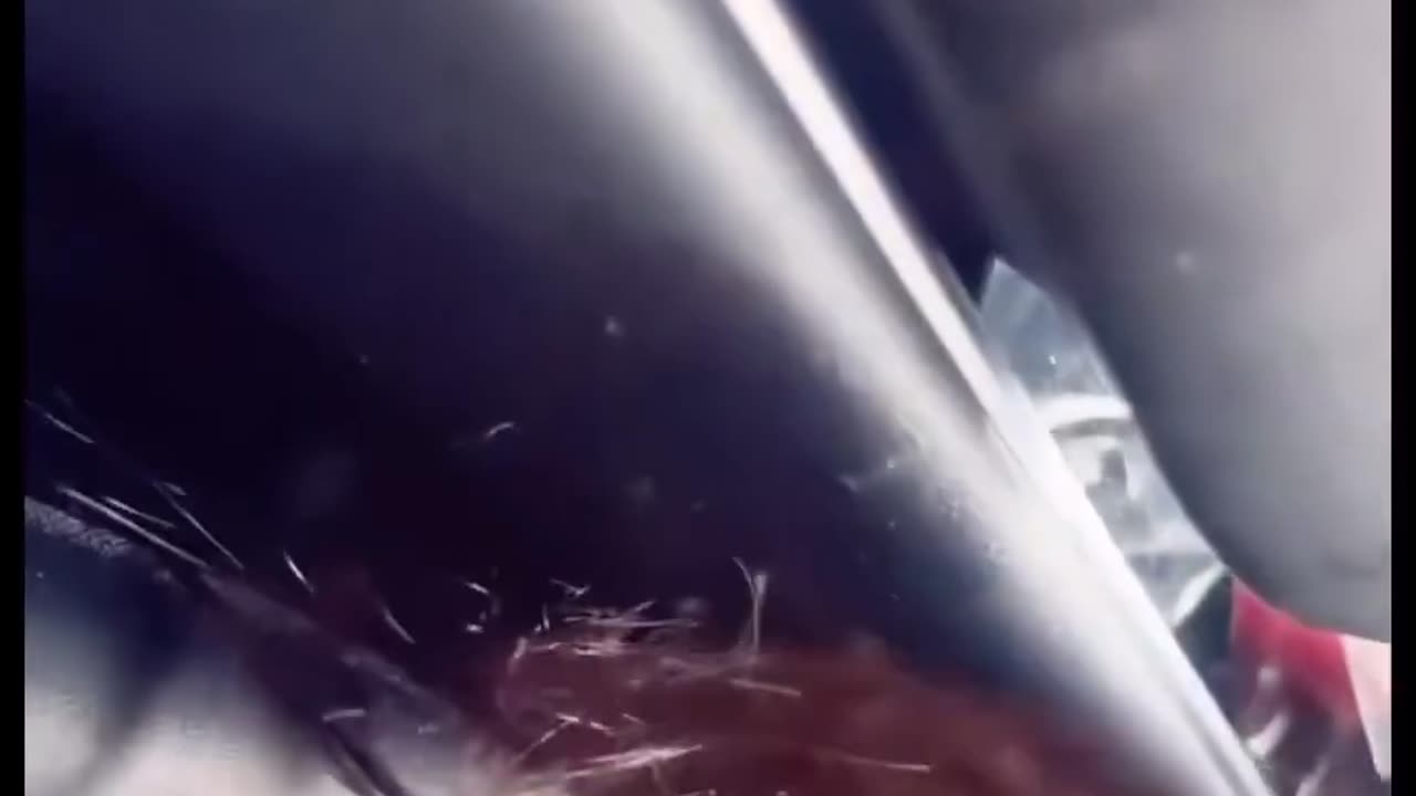 Pro-Illegal Alien TikTok Influencer Pulled Out of Car After Resisting Arrest