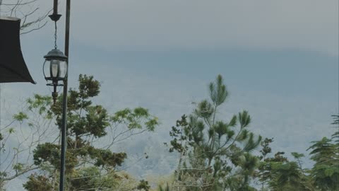 Kala Mounth View – A Hidden Green Paradise in the Highlands