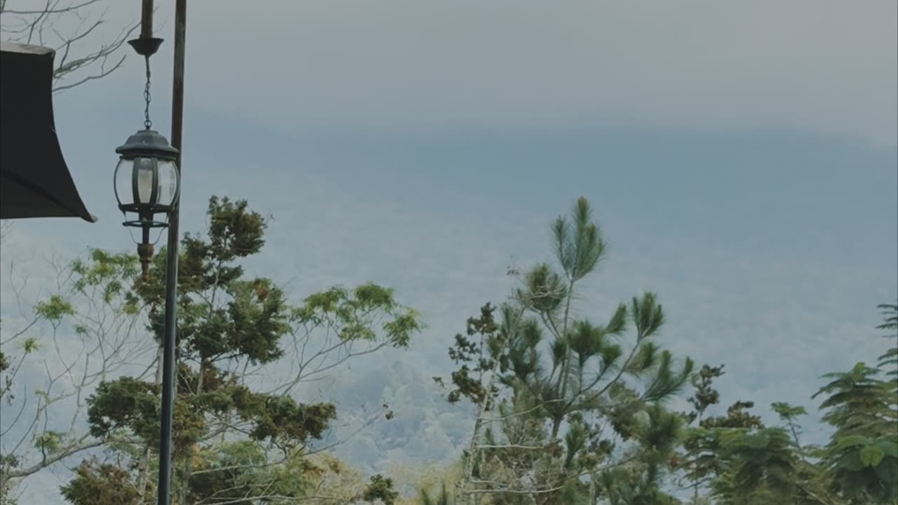 Kala Mounth View – A Hidden Green Paradise in the Highlands