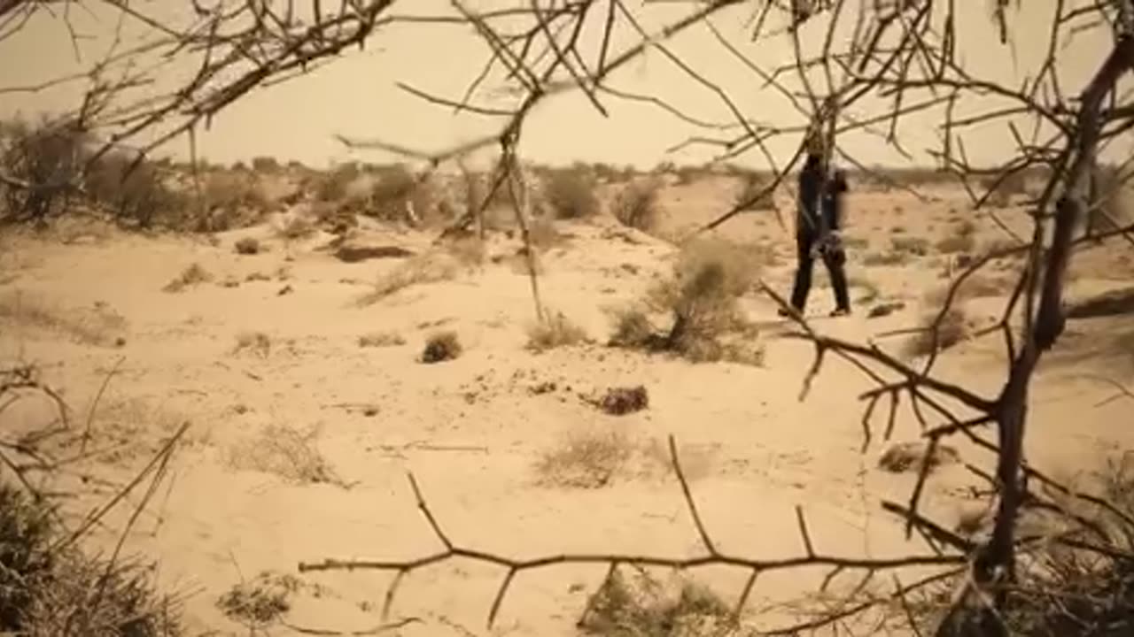 It's Here _ Operation WOC