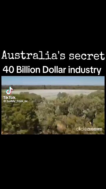 Half the Worlds Opium Supply Comes From Australia