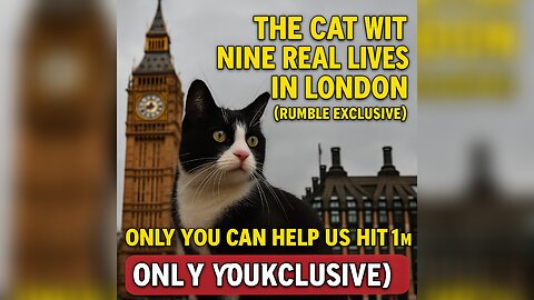 The Cat with Nine Real Lives in London (Rumble Exclusive)